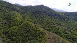 Армейские игры в Армении: соревнования силовых структур