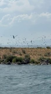 Никол Пашинян на острове чаек на озере Севан, Армения