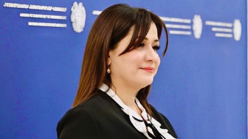 Назели Багдасарян на рабочем месте в аппарате премьер-министра Армении, Ереван